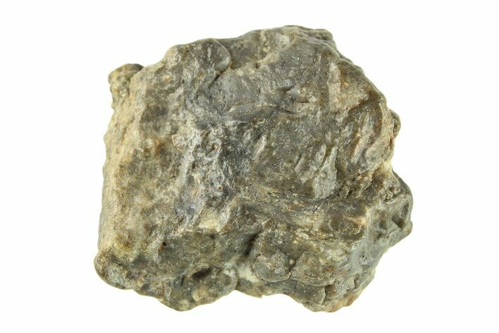 Lunar Meteorite ( g) - Laayoune #281581